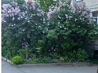 Рощино пос., Садовый пер., 5