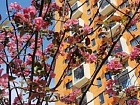 Новое Девяткино дер., Главная ул., 10-