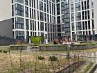 Белоостровская ул., 10
