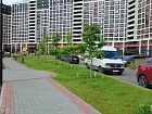 Мурино г., Екатерининская ул., 19