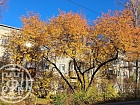 Ломоносов г., Красноармейская ул., 4